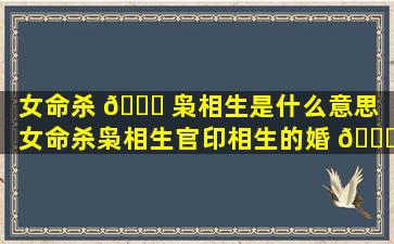 女命杀 💐 枭相生是什么意思（女命杀枭相生官印相生的婚 🕊 姻）